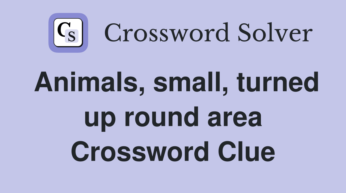 Animals, small, turned up round area Crossword Clue Answers